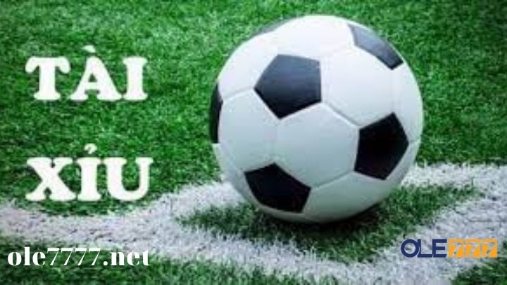 Giới thiệu chi tin chi tiết cách đọc kèo bóng đá châu Á Giới thiệu chi tin chi tiết cách đọc kèo bóng đá châu Á